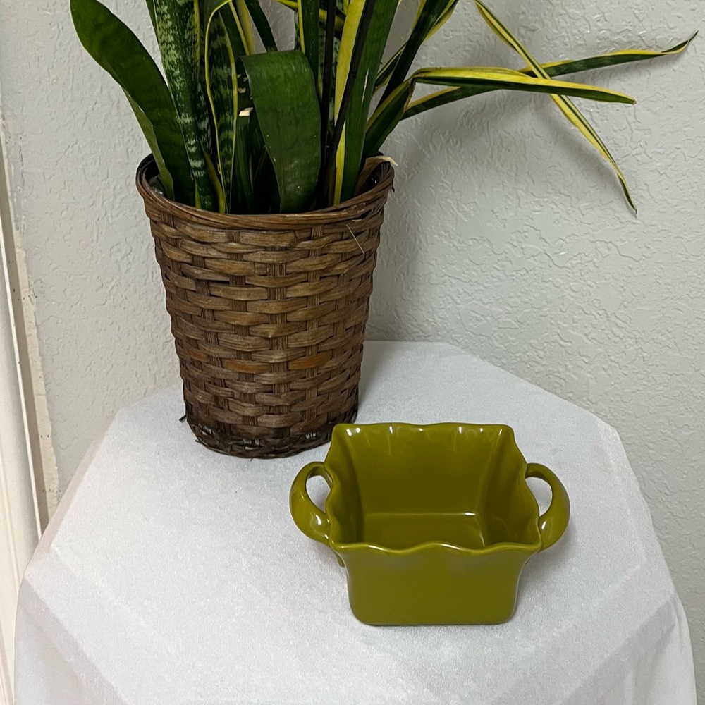 BIA beautiful olive green ruffled square bakeware